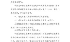 爱游戏体育下载:中乙球队试图向裁判送礼被处罚